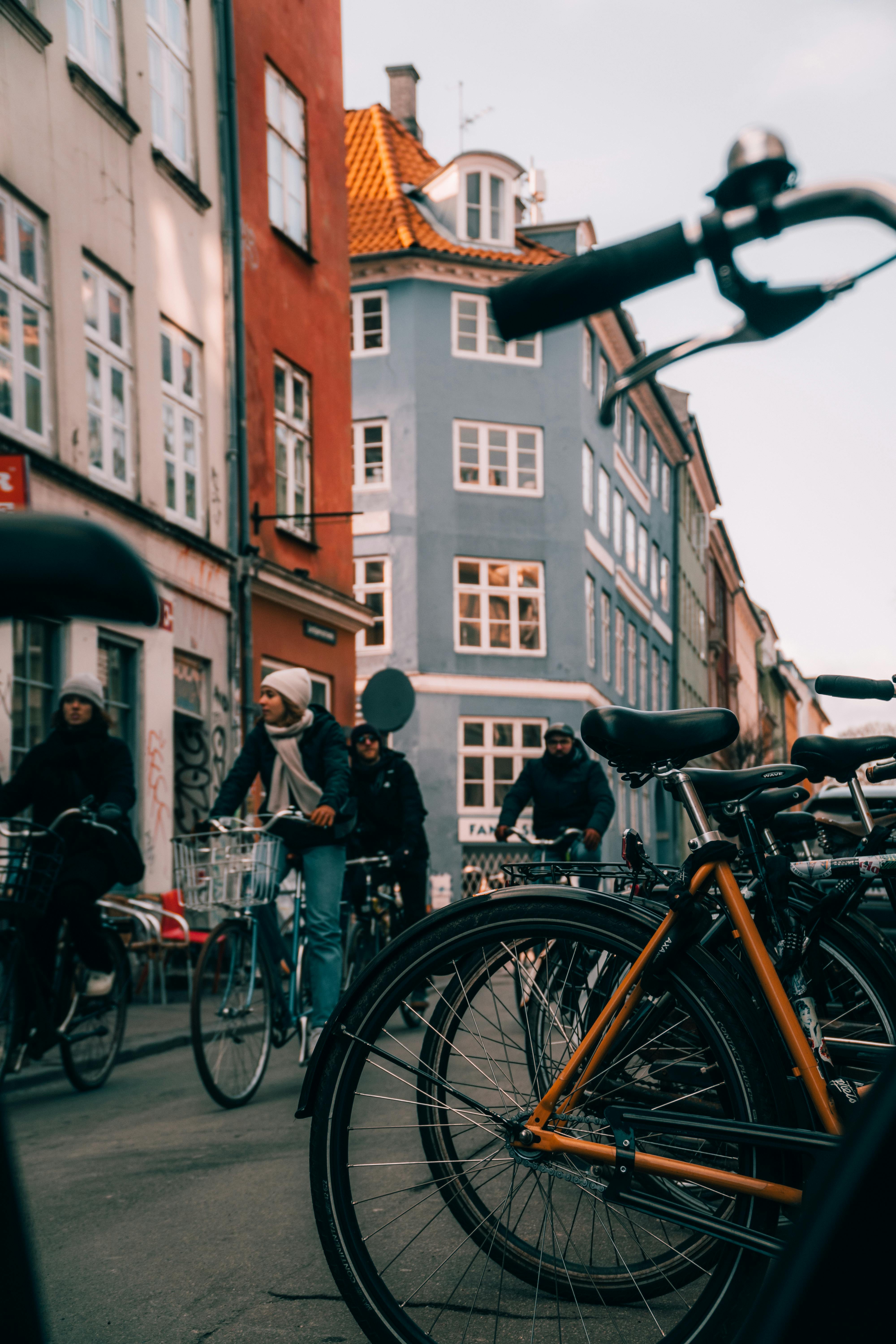 Professional bike repair service